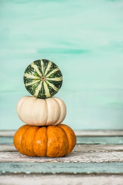 Abóbora decoração turquesa fundo Outono — Fotografia de Stock