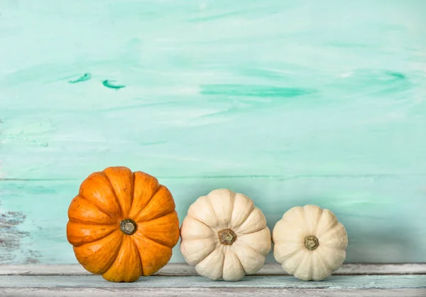 Zucca decorazione turchese sfondo autunno Ringraziamento — Foto Stock