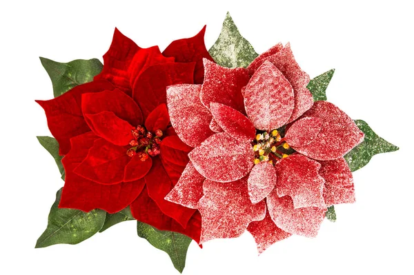 Rode kerstbloem poinsettia sneeuw decoratie — Stockfoto