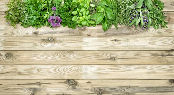 Hierbas Sobre Fondo Madera Albahaca Perejil Menta Tomillo Eneldo Salvia — Foto de Stock