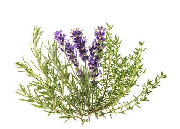 Fresh Herbs Rosemary Lavender Thyme Spices Food Ingredients Condiments — Stock Photo, Image