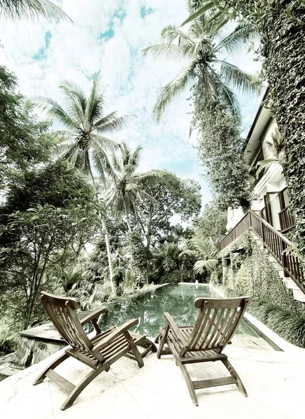 Swimming Pool Tropical Garten Trendy Retro Style Toned Picture — Stock Photo, Image