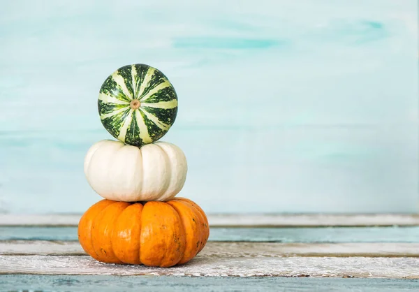 Otoño Acción Gracias Decoración Calabaza Sobre Fondo Azul —  Fotos de Stock