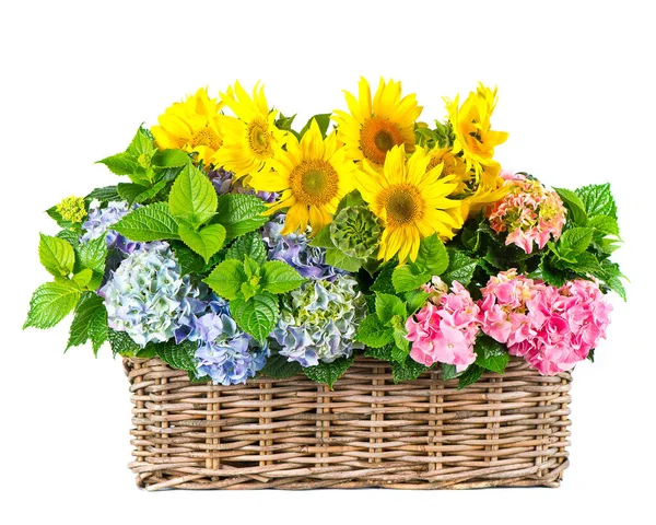 Sonnenblumen Und Hortensienblüten Isoliert Auf Weißem Hintergrund — Stockfoto