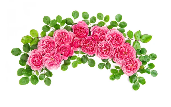 Pink Roses Flowers Arc Isolated White Background Floral Botanical Flat — Stock Photo, Image