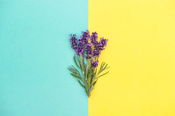 Flores Lavanda Hojas Hierbas Sobre Fondo Amarillo Turquesa Banner Floral — Foto de Stock