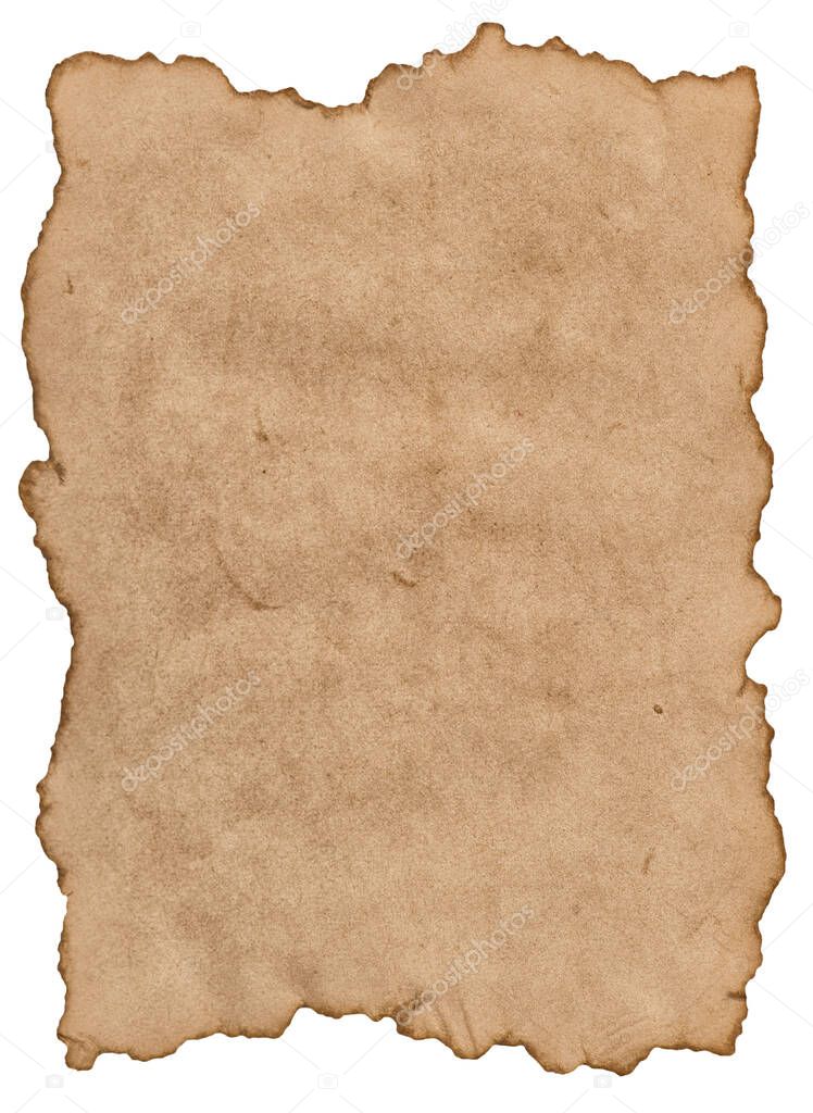 Parchment paper sheet with torn edges isolated on white background