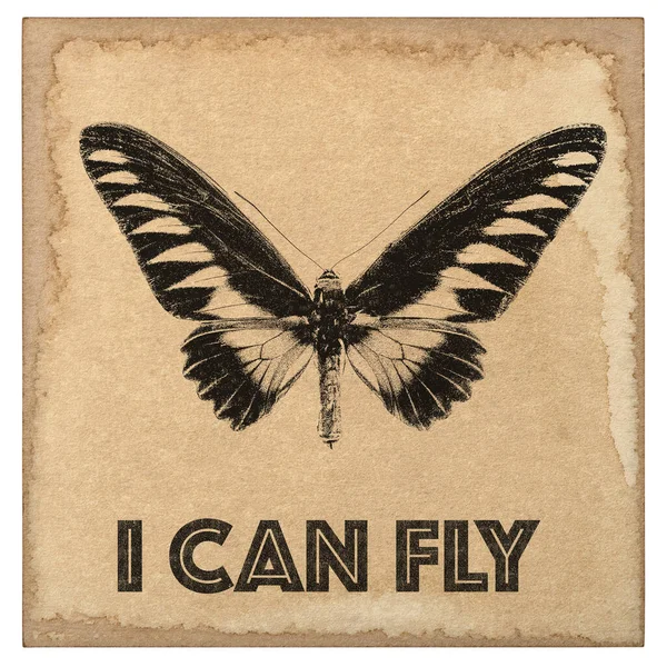 Použitý Papírový List Rytím Motýla Starý Karton Izolované Bílém Pozadí — Stock fotografie