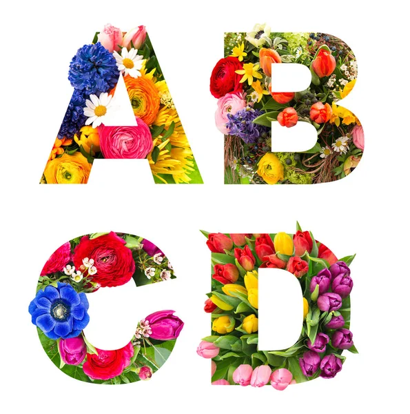 Alphabet Flower Floral Lettering Isolated White Background — Stock Photo, Image