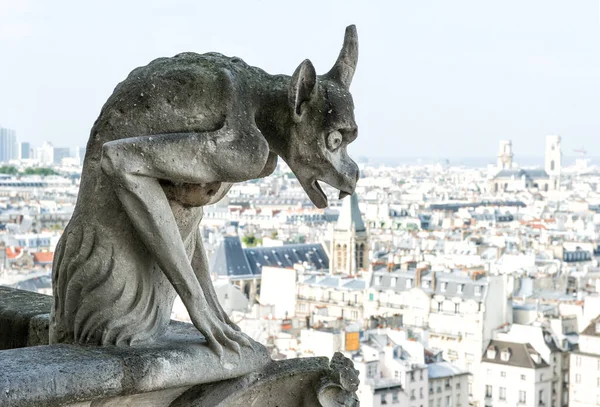 Sten Demon Gargoyle Med Staden Paris Bakgrunden Utsikt Från Notre — Stockfoto