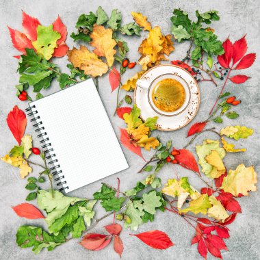 Kağıt ve sade kahve. Sonbahar düzleşir