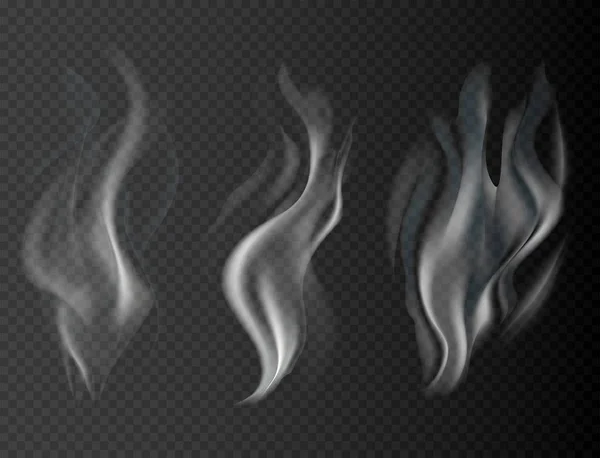 Rook geïsoleerd op transparante achtergrond vector illustratie — Stockvector