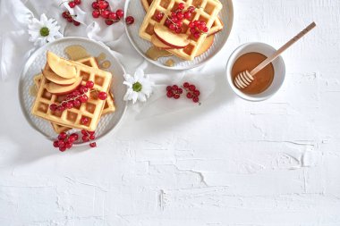 Düz geleneksel Belçika Waffle taze meyve, Kuru soğan, frenk üzümü ve bal beyaz zemin üzerine yatırın. Kahvaltı. Kopya alanı ile üstten görünüm.