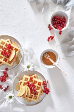 Düz geleneksel Belçika Waffle taze meyve, Kuru soğan, frenk üzümü ve bal beyaz zemin üzerine yatırın. Kahvaltı. Kopya alanı ile üstten görünüm.