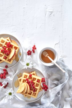 Düz geleneksel Belçika Waffle taze meyve, Kuru soğan, frenk üzümü ve bal beyaz zemin üzerine yatırın. Kahvaltı. Kopya alanı ile üstten görünüm.