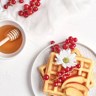 Düz geleneksel Belçika Waffle taze meyve ve bal beyaz zemin üzerine yatırın. Kahvaltı. Üstten görünüm, kare kırpma.