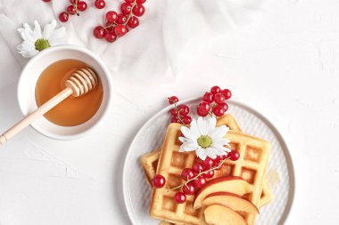 Düz geleneksel Belçika Waffle taze meyve, Kuru soğan, frenk üzümü ve bal beyaz zemin üzerine yatırın. Kahvaltı. Kopya alanı ile üstten görünüm.