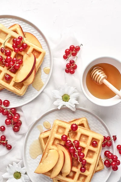 Düz geleneksel Belçika Waffle taze meyve, Kuru soğan, frenk üzümü ve bal beyaz zemin üzerine yatırın. Kahvaltı. Kopya alanı ile üstten görünüm.