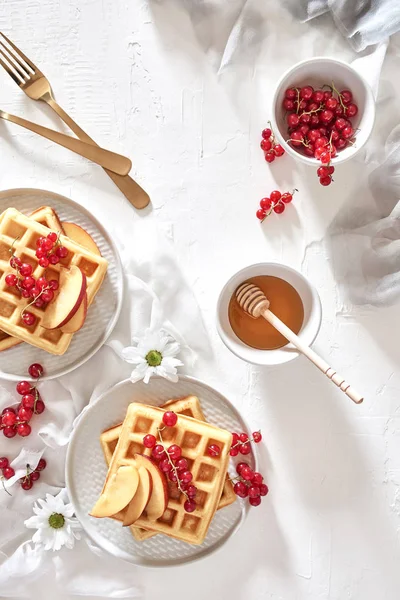 Düz geleneksel Belçika Waffle taze meyve, Kuru soğan, frenk üzümü ve bal beyaz zemin üzerine yatırın. Kahvaltı. Kopya alanı ile üstten görünüm.
