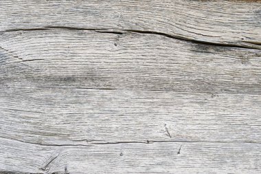 Arka plan veya ahşap doku için eski beyaz meşe ağacı