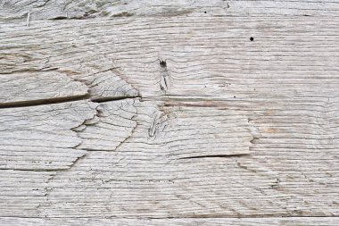 Arka plan veya ahşap doku için eski beyaz meşe ağacı