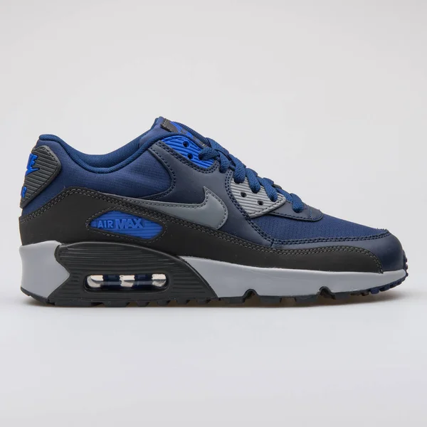 Baskets Nike Air Max 90 Mesh bleu — Photo