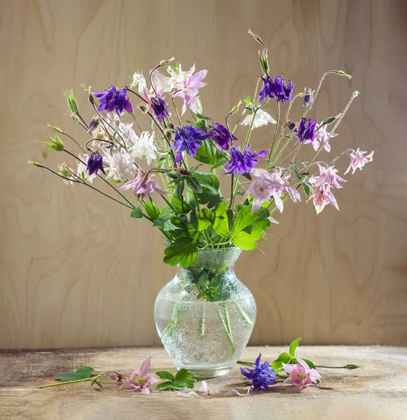 Rustic Still Life Glass Vase Beautiful Flowers Pink White Blue — Stock Photo, Image