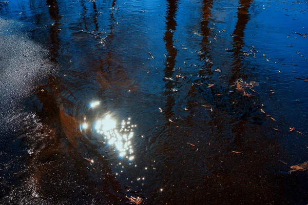 Blaue Pfütze Sonne Glanz Reflexion Der Bäume Herbst Oder Frühling — Stockfoto