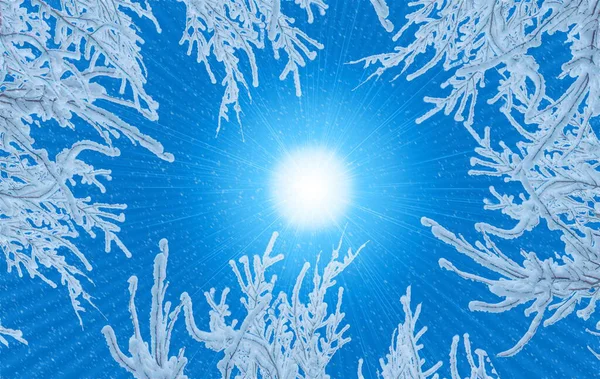 Zimní Krajina Zasněžené Větve Pod Sněhem Modré Bílé Měkké Barvy — Stock fotografie