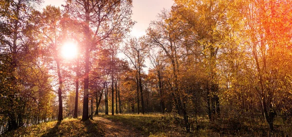 Höstmorgon Ekdunge Höst Landskap Med Solstrålar — Stockfoto