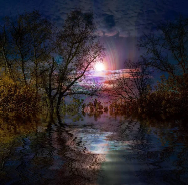 magic of the moonlit night of mysticism. magic flower of the moon. trees are reflections in the water.