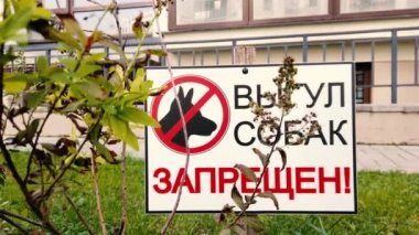 Şehrin yeşil bölgesi veba salgını işareti 
