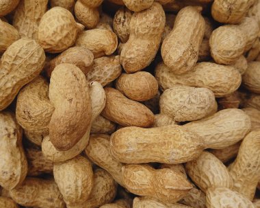 Rafine edilmemiş fıstık kabuğu dokusu yakın plan. Sağlık malzemeleri fındık yemeği. Vejetaryen organik yemek. Legume fıstık meyvesi. 