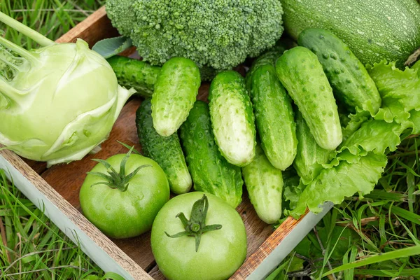 Fresh vegetables in the box on the green grass.