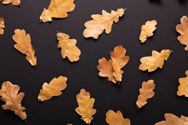 Sonbahar arka plan. Siyah masaya kuru meşe yaprakları. Üstten görünüm. Düz yatıyordu.