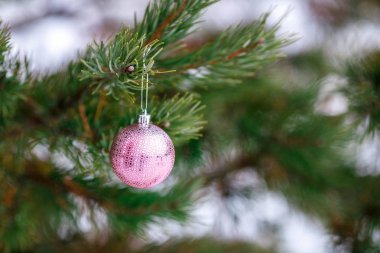 Noel pembe top bir Noel ağacı dalı üzerinde arka plan bulanık. Metin için yer.