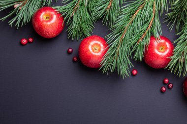 Noel arkaplanı ağaç dalları, kırmızı elmalar ve kızılcıklar. Koyu ahşap masa. Üst Manzara. Boşluğu kopyala