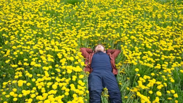 Der Bärtige Mann Gelben Löwenzahnfeld Ruht Auf Einem Feld Aus — Stockvideo