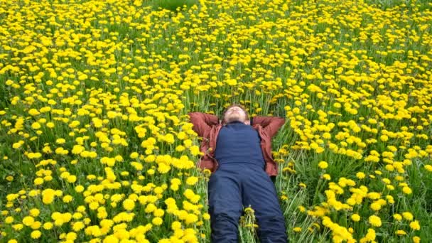 Skäggig Man Fält Gula Maskrosor Ligger Vilande Ett Fält Maskrosor — Stockvideo