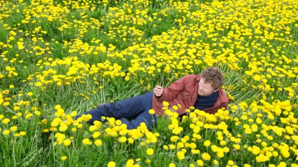 Ein Bärtiger Mann Gelben Löwenzahnfeld Telefoniert Filmmaterial — Stockvideo