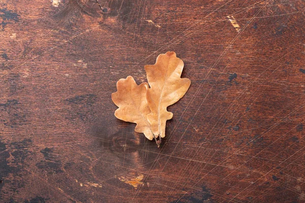 Autumn Background Dry Oak Leaves Wooden Table Top View Flat — Stock Photo, Image