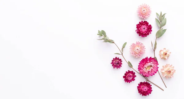 Banner. Flower composition. Eucalyptus branches and dry flowers on white background. Flat lay. Top view. Copy space - Image