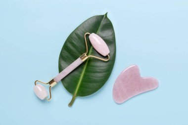 Gua Sha masaj aleti, yüz silindiri ve mavi arka planda incir yaprağı. Yüz bakımı için masaj aracı, SPA güzellik tedavi konsepti - Görüntü