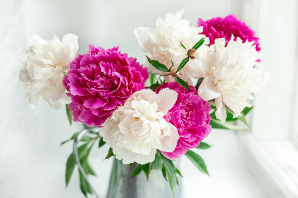 Bouquet of beautiful peonies in the garden. Pink and white peonies in a tin jug. Soft focus - Image