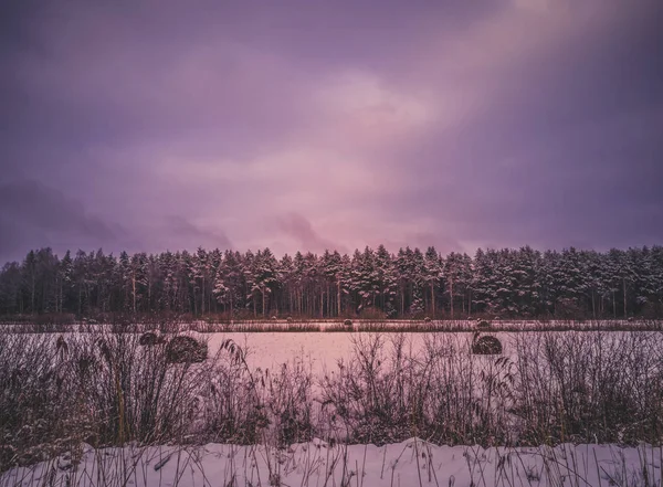 Спокійна Moody Фото Поле Лісу Ньому Гарний Захід Сонця Ясно — стокове фото