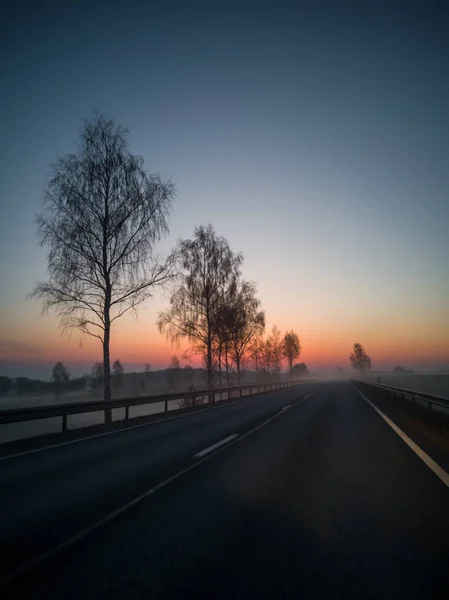 Силуэт Дерева Ранним Утром Кроме Сельской Дороги Тяжелым Туманом Покрывающим — стоковое фото