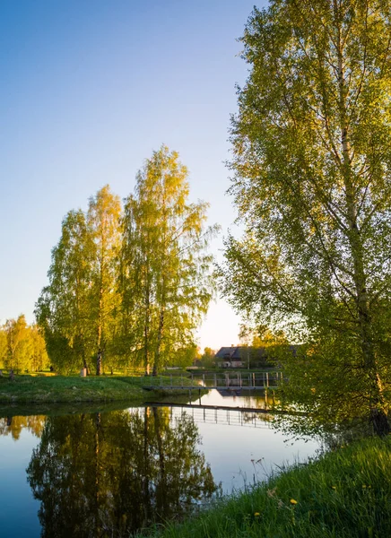 Hermosa Reflexión Del Árbol Lago Soleado Día Primavera Colores Otoño — Foto de Stock