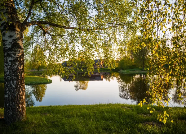 Hermosa Reflexión Del Árbol Lago Soleado Día Primavera Colores Otoño — Foto de Stock