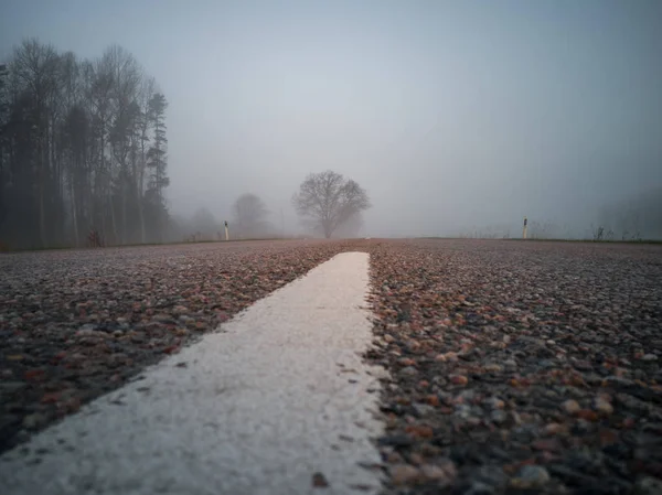 Baumsilhouette Einem Frühen Morgen Neben Einer Landstraße Mit Dichtem Nebel — Stockfoto