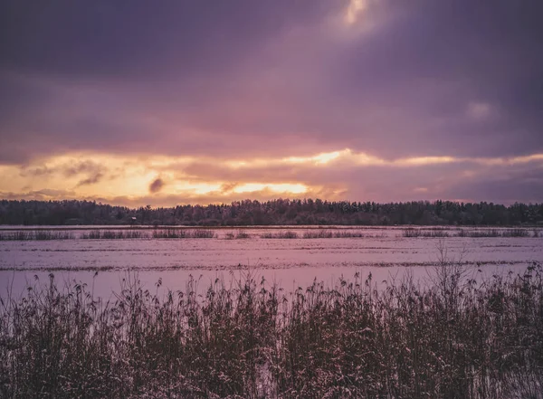 Klid Fotografie Moody Pole Lesem Krásný Západ Slunce Jasně Oranžové — Stock fotografie